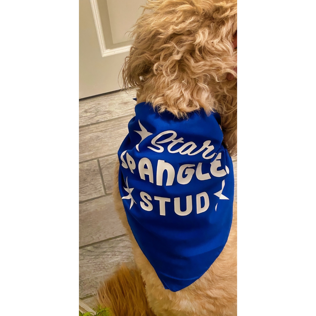 Star Spangled Stud Dog Blue Bandana