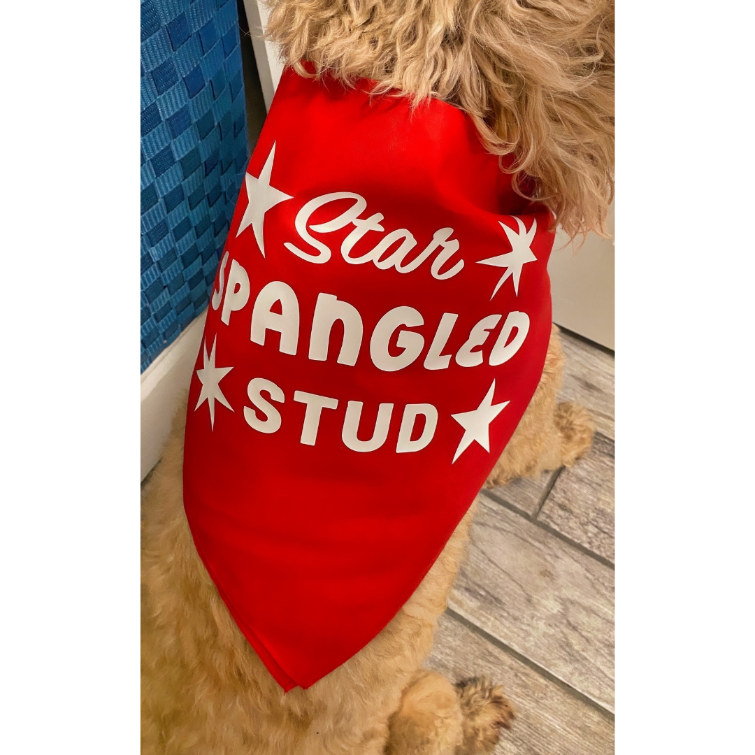 Star Spangled Stud
